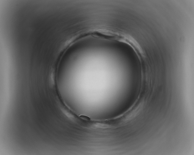 X0000114400393200910231114