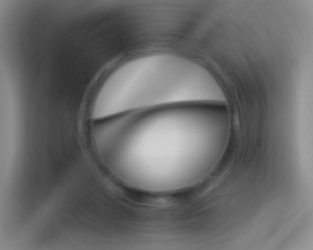 X0000114400396200910231113