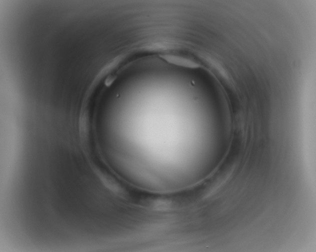 X0000114400400200910231113