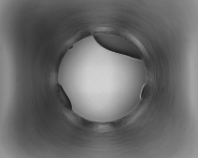 X0000114400401200910231113