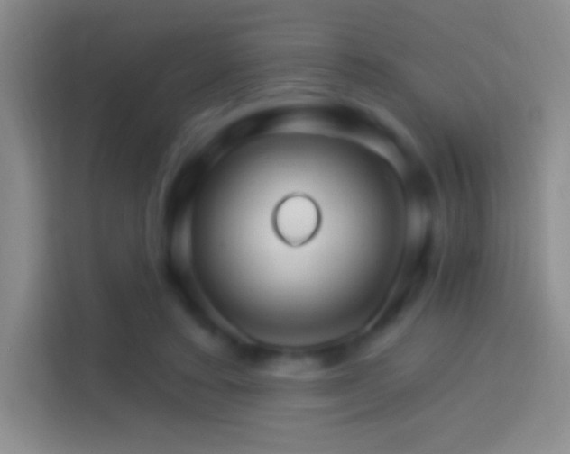 X0000114400403200910231113