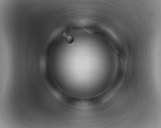 X0000114400404200910231113