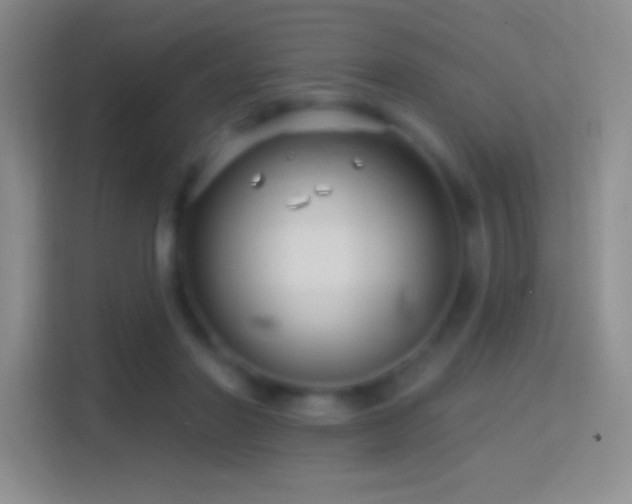 X0000114400406200910231113