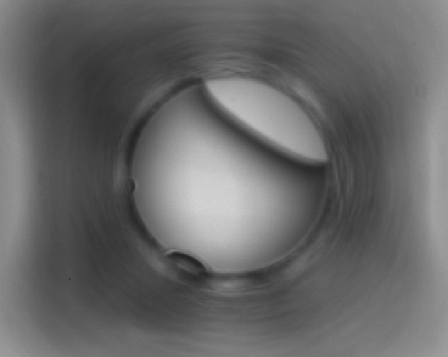 X0000114400407200910231113