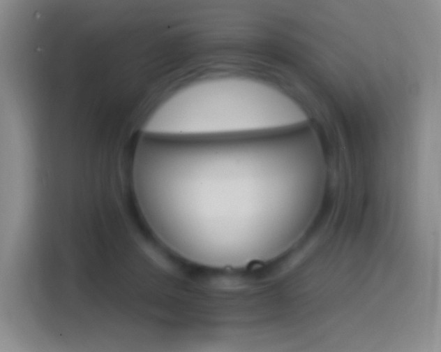 X0000114400408200910231113