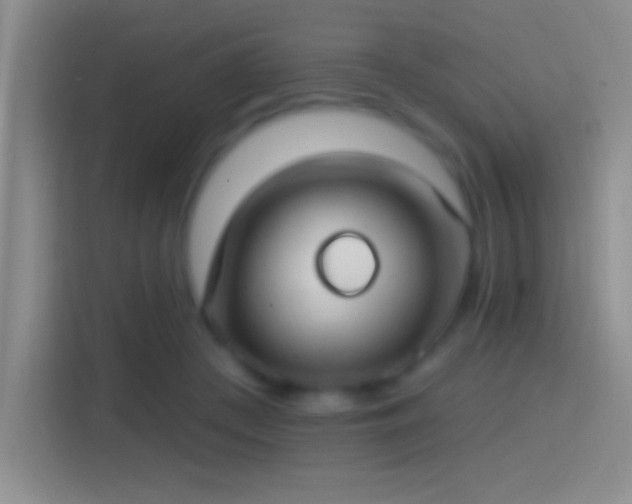 X0000114400409200910231113