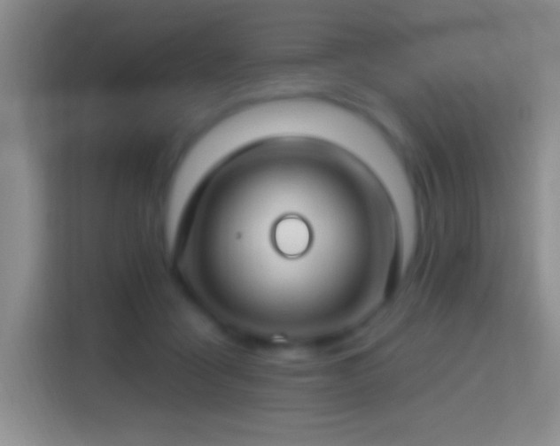 X0000114400411200910231113