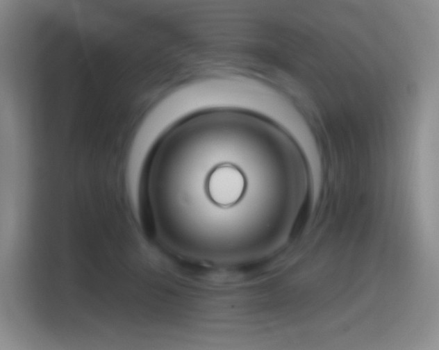 X0000114400415200910231113