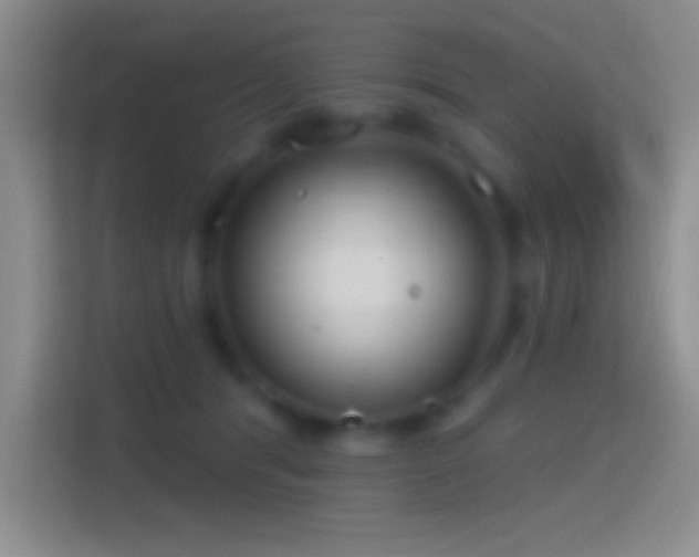 X0000114400416200910231113