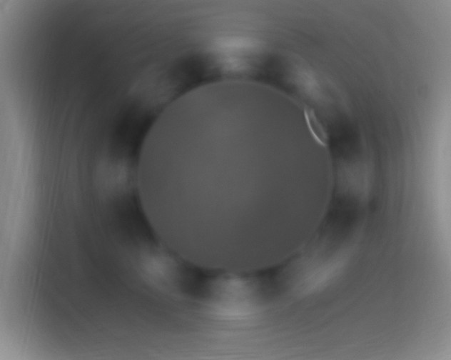 X0000114400419200910231113