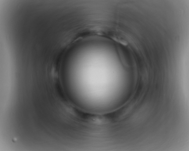 X0000114400420200910231113