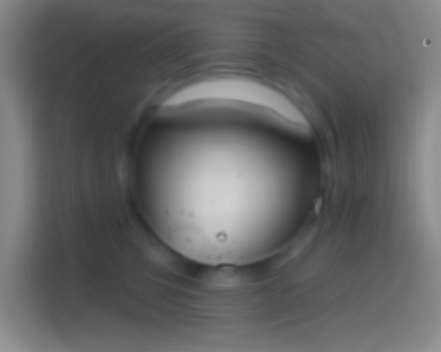 X0000114400423200910231113