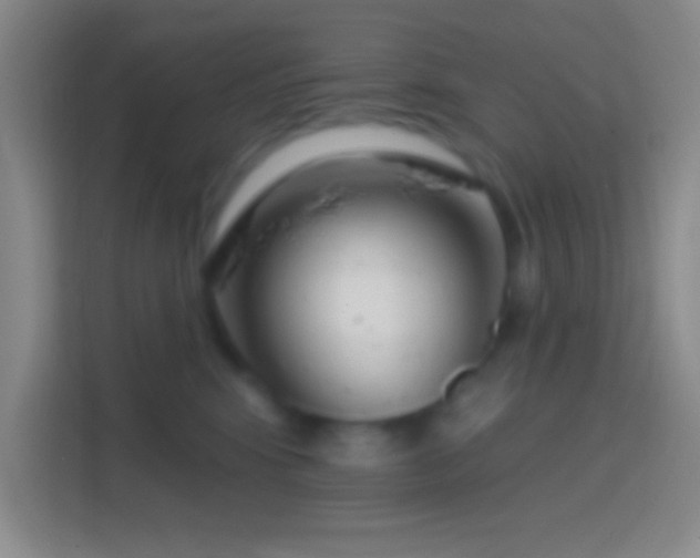 X0000114400424200910231113