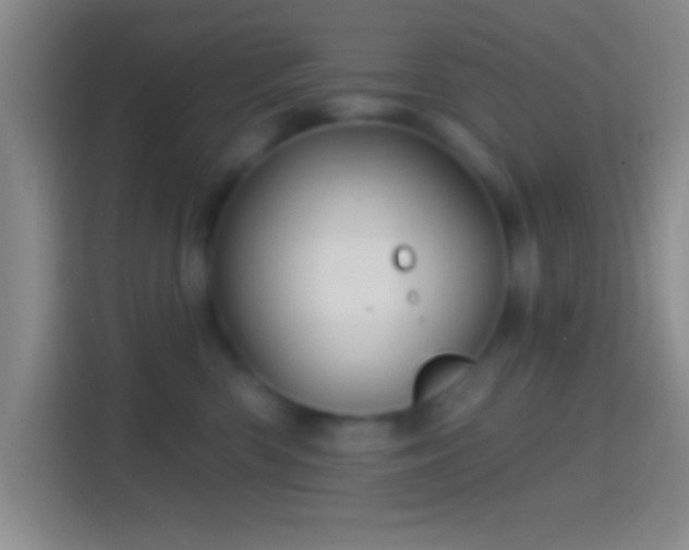 X0000114400426200910231113