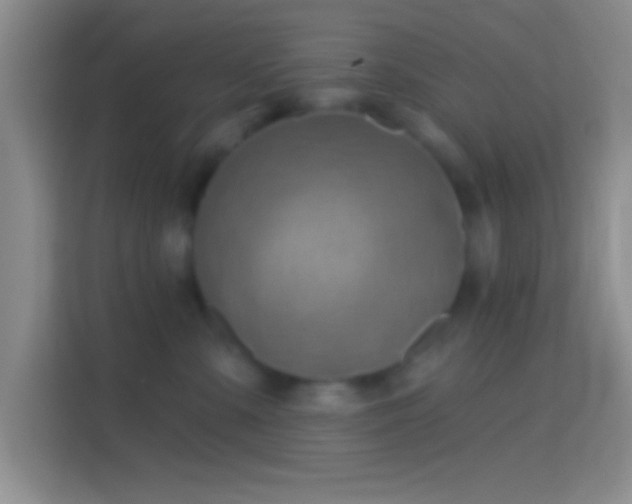 X0000114400427200910231113