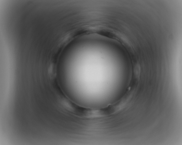 X0000114400428200910231113