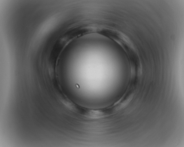 X0000114400429200910231113