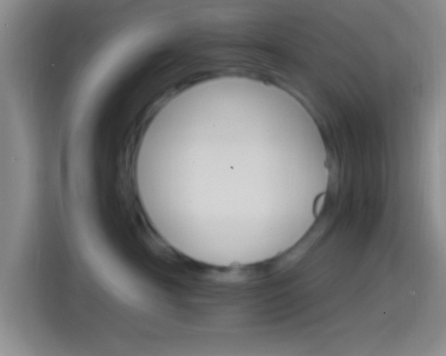 X0000114400430200910231113