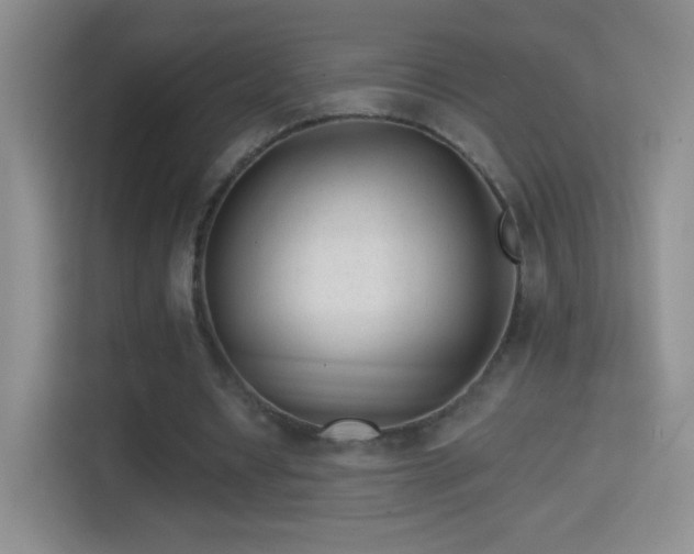 X0000114400434200910231112