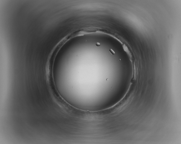 X0000114400435200910231112