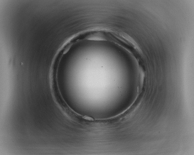 X0000114400436200910231112