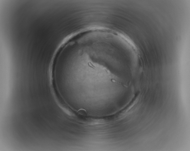 X0000114400438200910231112