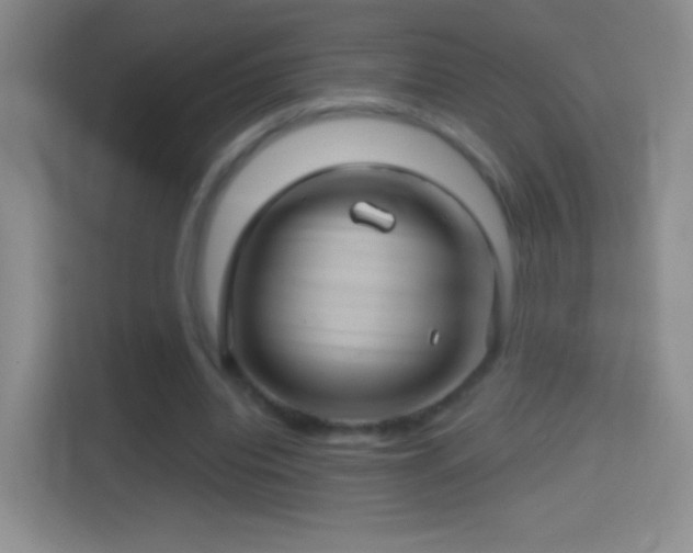 X0000114400440200910231112