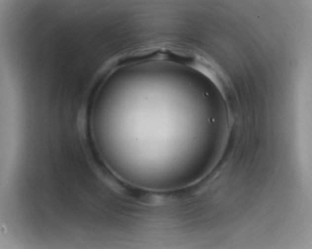 X0000114400442200910231113