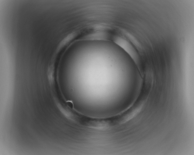 X0000114400443200910231113