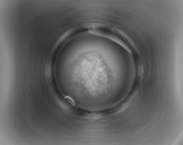 X0000114400444200910231113