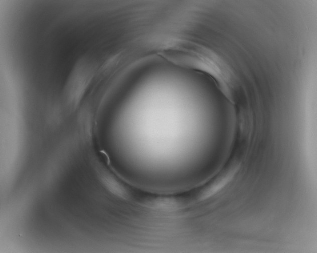 X0000114400445200910231113