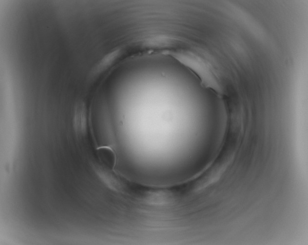 X0000114400446200910231113