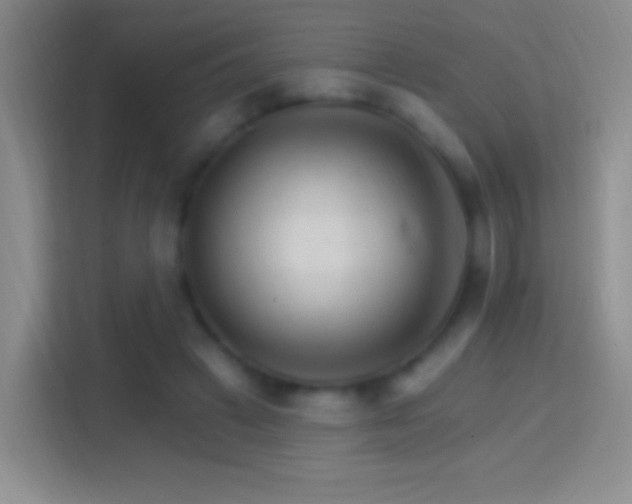 X0000114400449200910231113