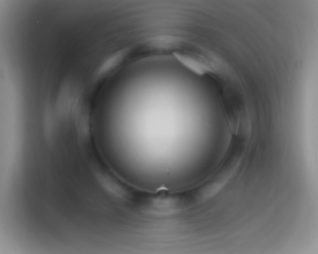 X0000114400450200910231113