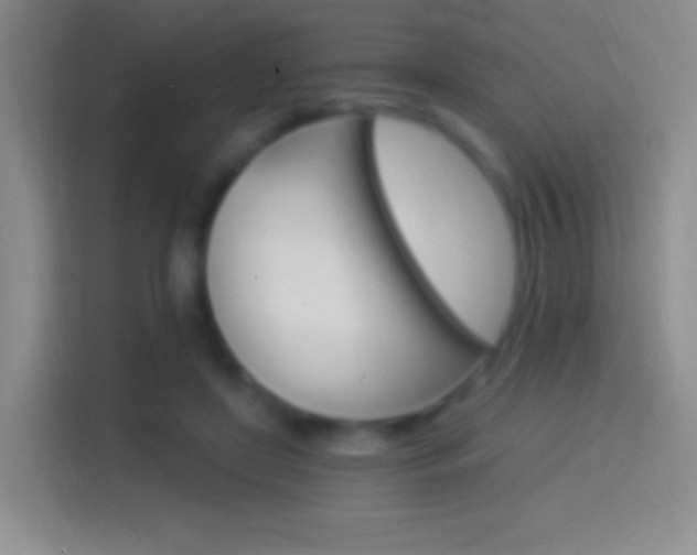 X0000114400451200910231113