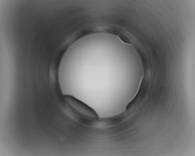 X0000114400452200910231113