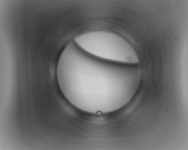 X0000114400454200910231113