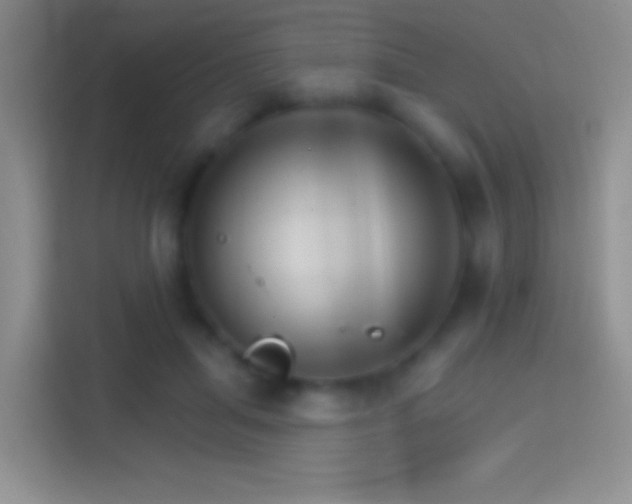 X0000114400455200910231113