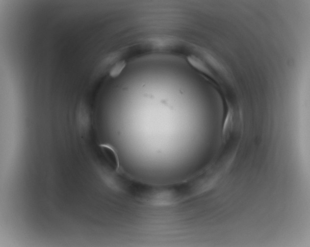 X0000114400456200910231113