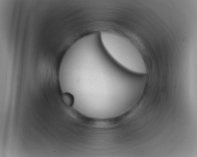 X0000114400457200910231113