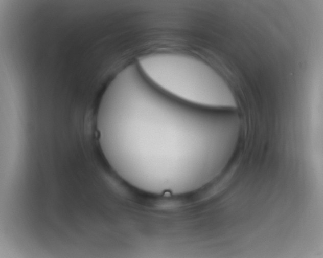 X0000114400458200910231113