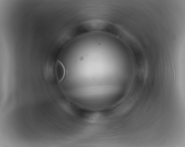 X0000114400460200910231113