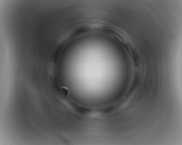 X0000114400462200910231113