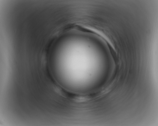 X0000114400466200910231113