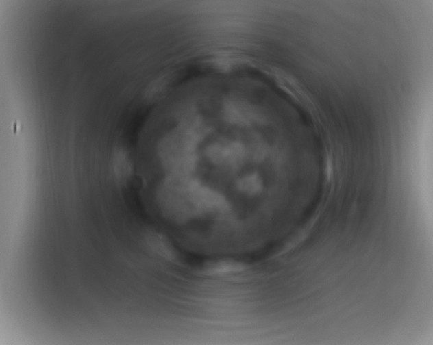 X0000114400471200910231113