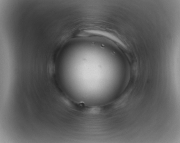 X0000114400474200910231113