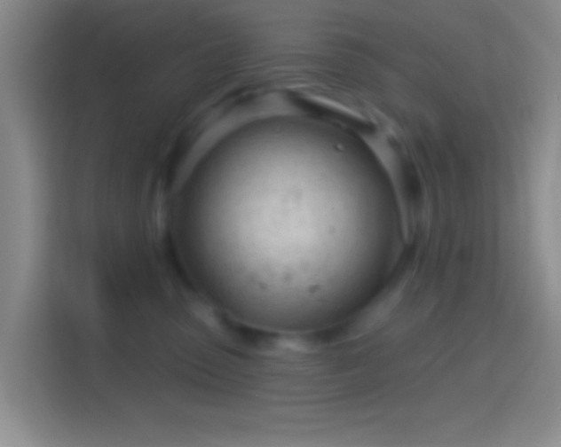 X0000114400475200910231113