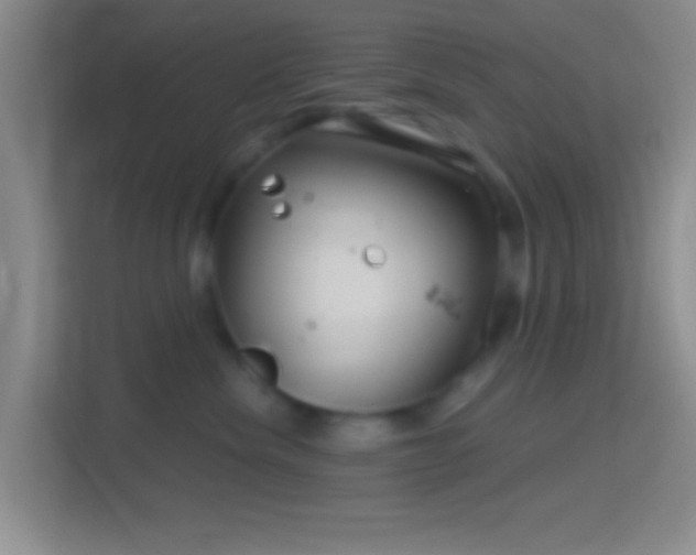 X0000114400476200910231113