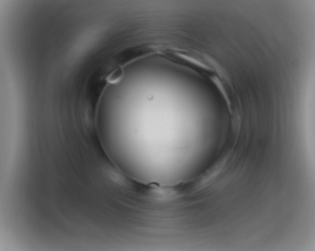 X0000114400477200910231113