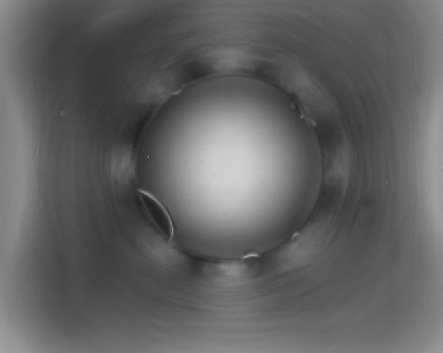 X0000114400478200910231113